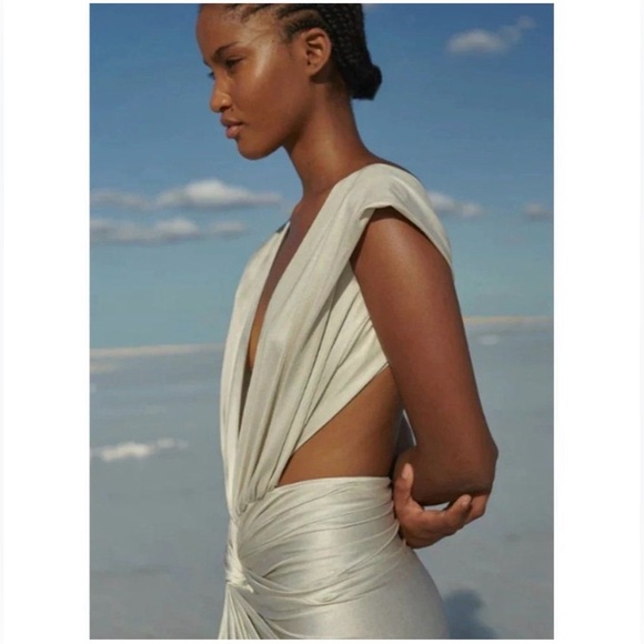 Baobab Mia Plunge V-Neck Gathered Midi Sheath Dress, NWT - Picture 13 of 15